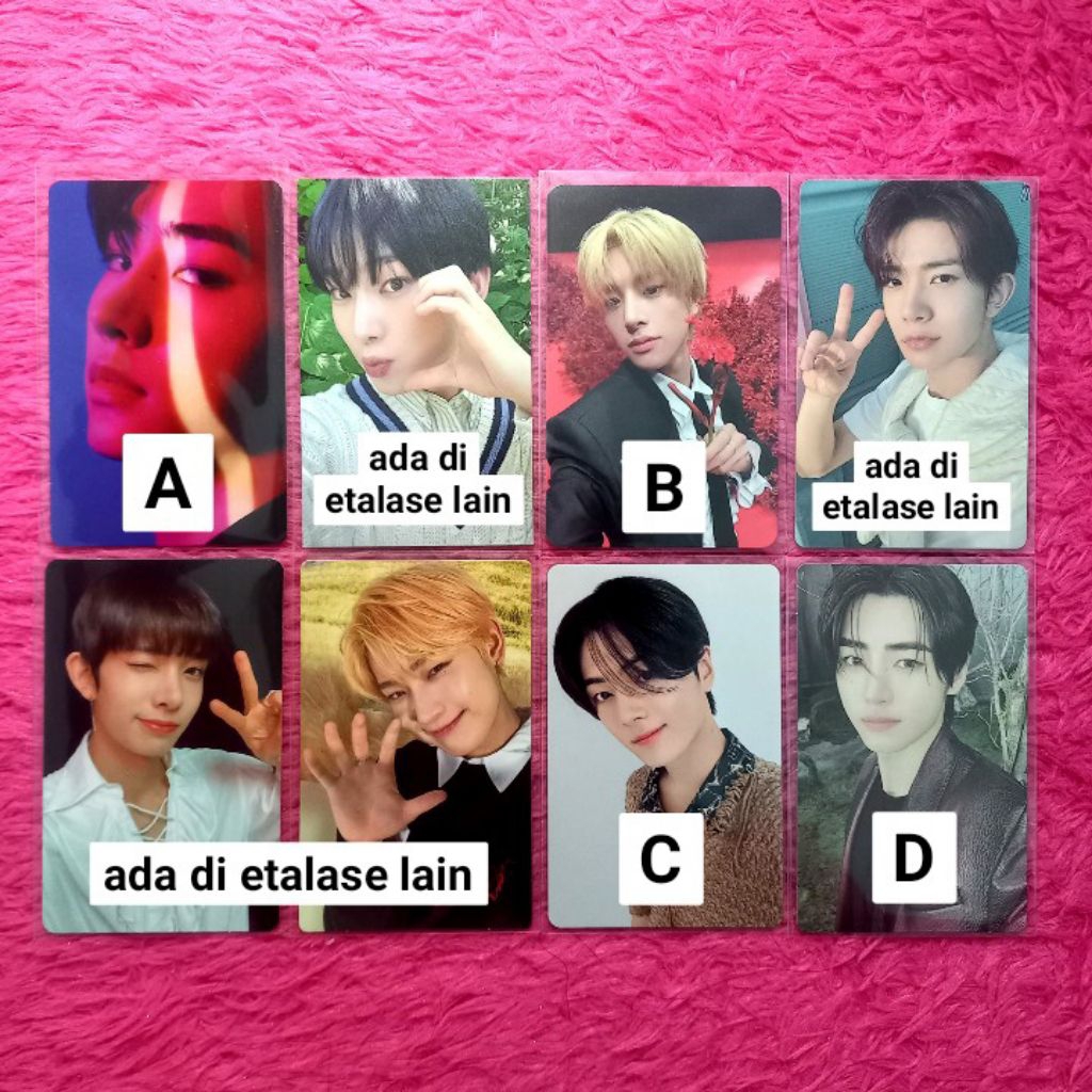 [BACA DESKRIPSI] PC Heeseung Sunghoon Jay Jake Sunoo Official Enhypen Kpopmerch Dark Blood DB Dusk S