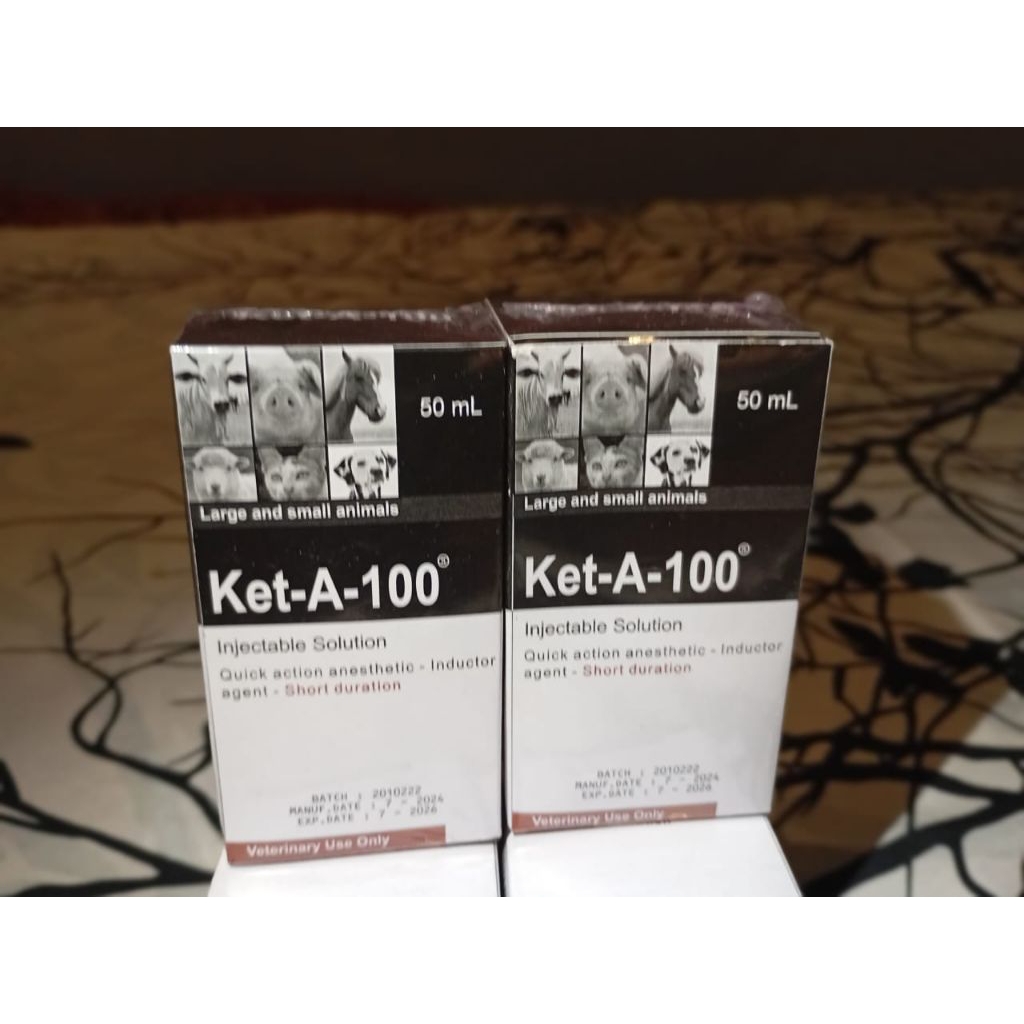 Ket-A-100 obat hewan anjing, kucing, dll