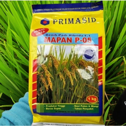 PRIMASID BENIH BIBIT PADI MAPAN05 HIBRIDA TERLARIS