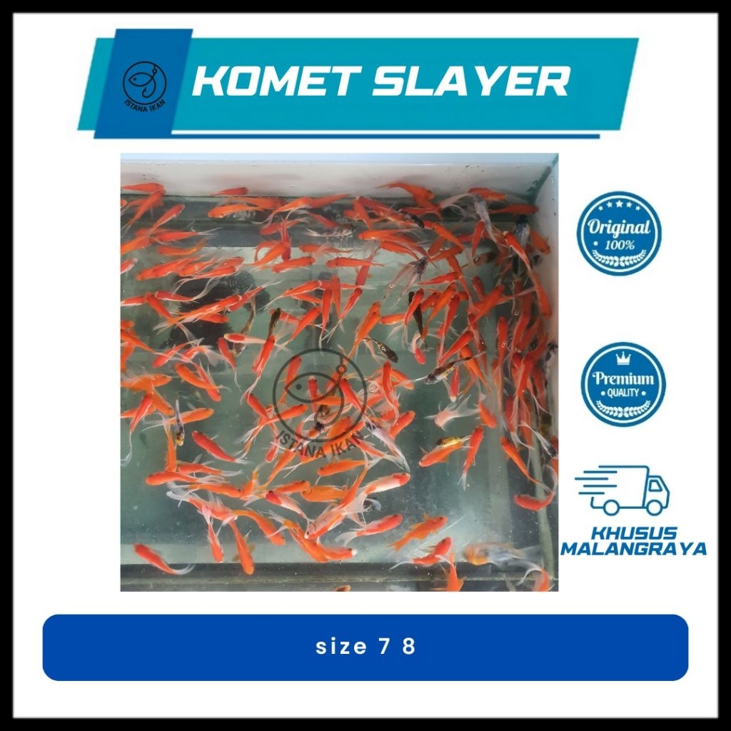 KOMET SLAYER BERGANSI | 50EKR | FULL MERAH PUTIH