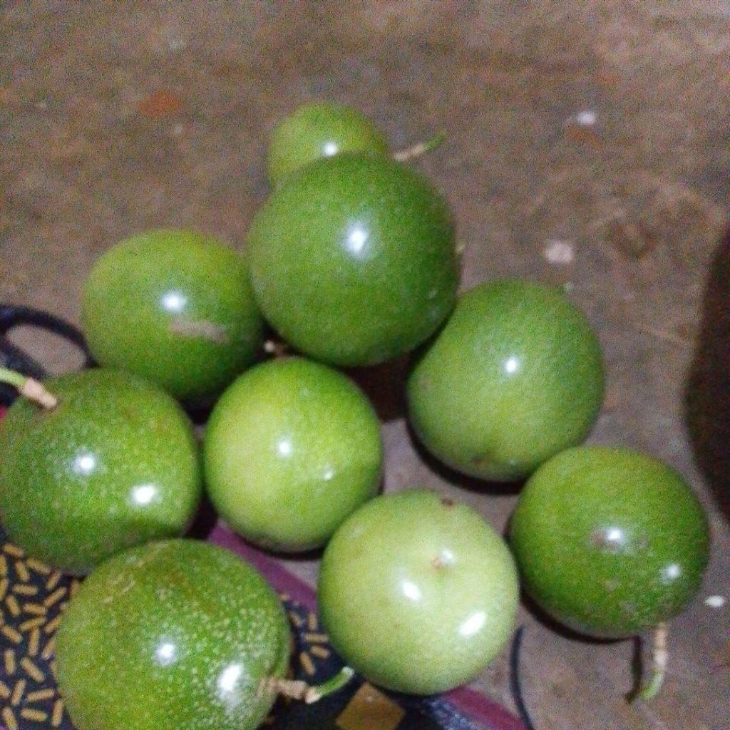 buah markisa 1kg