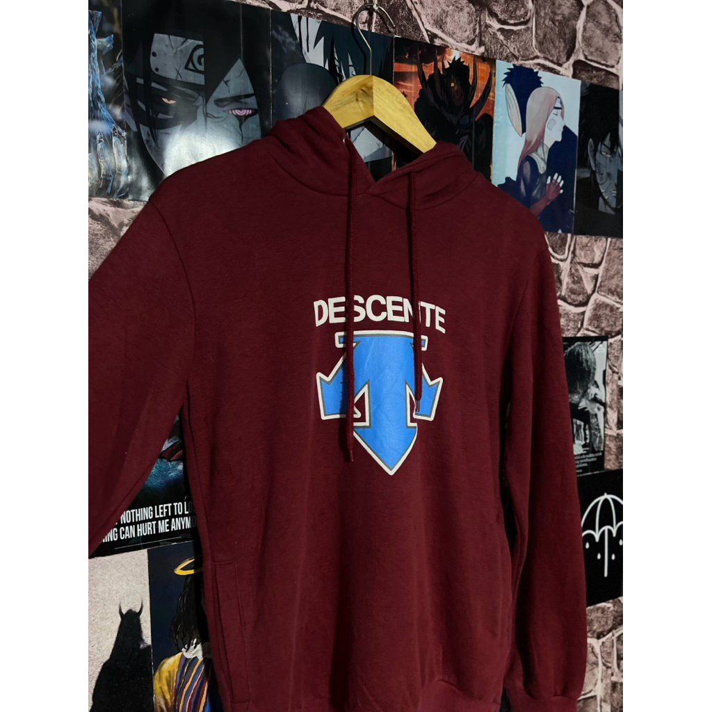 hoodie DESCENTE