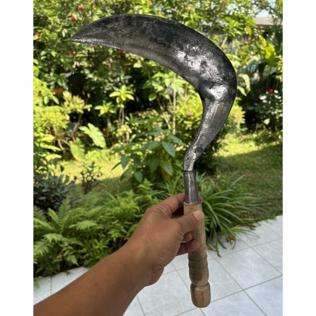 Arit Sabit Rumput Super Tajam Bahan Gergaji Murni Asli 100% [ Premium Berkualitas ]