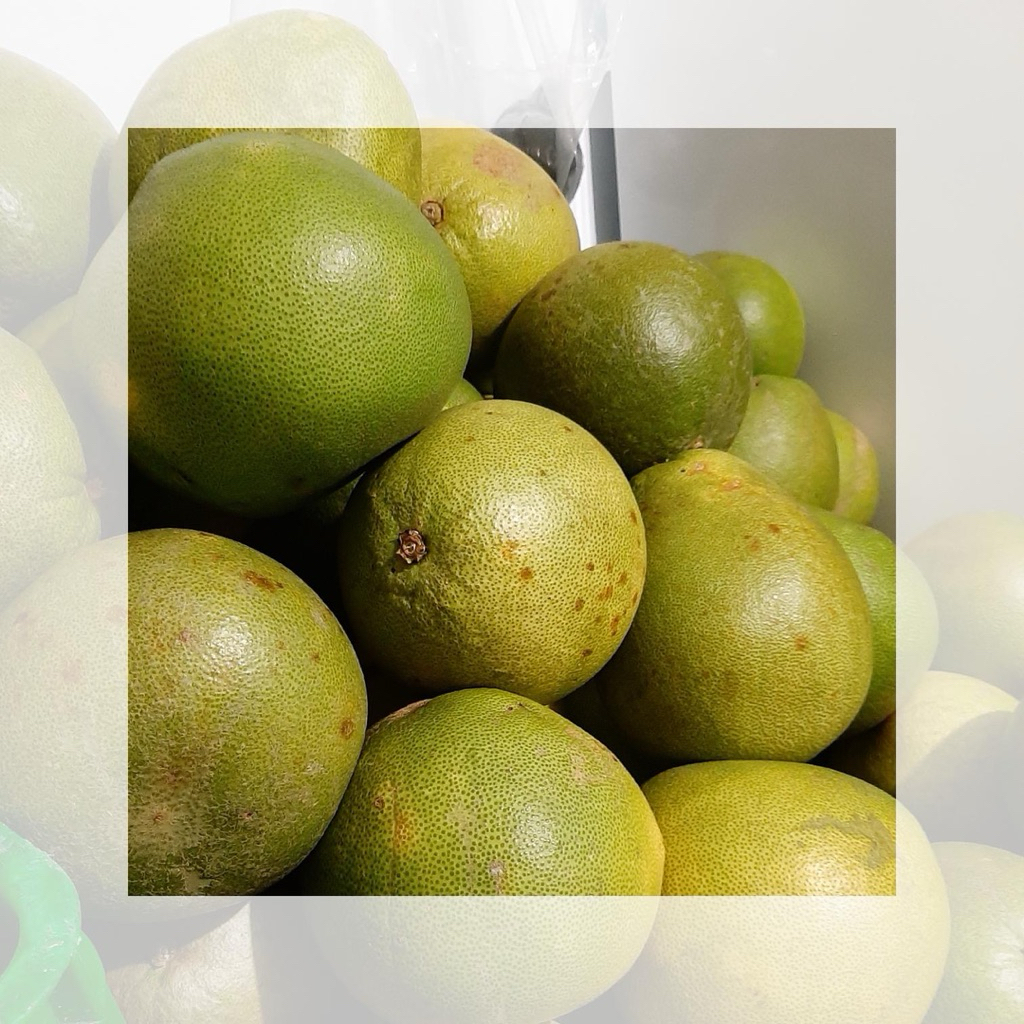 Buah Jeruk pamelo madu / Jeruk pamelo Bali