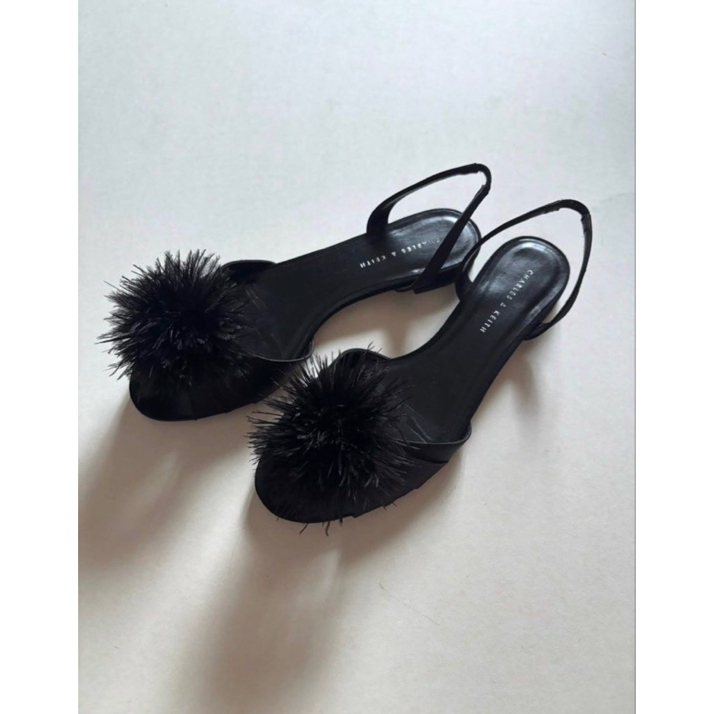 Charles and Keith Flat Shoes