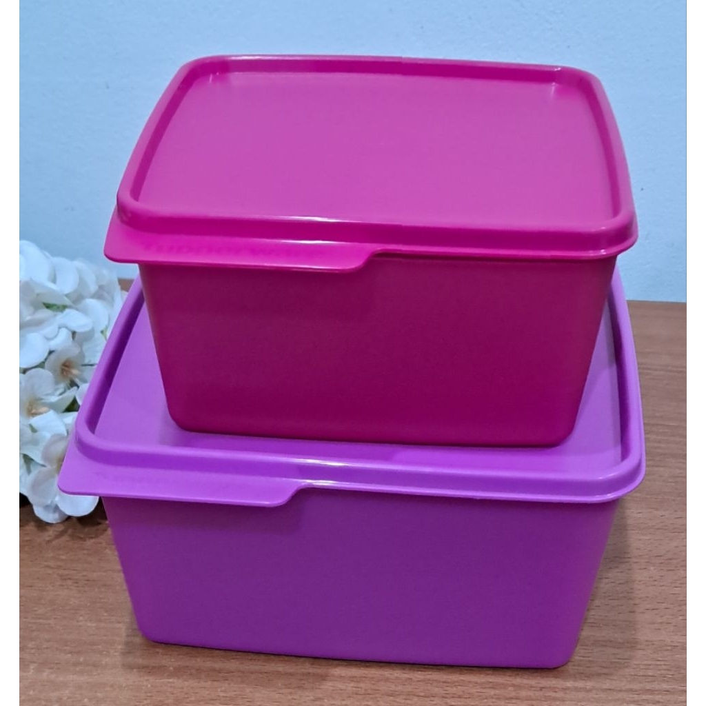 NEW - Cozy Nest Tupperware (satuan)