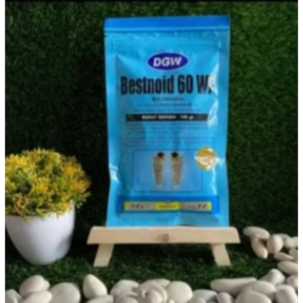 bestnoid 100gram