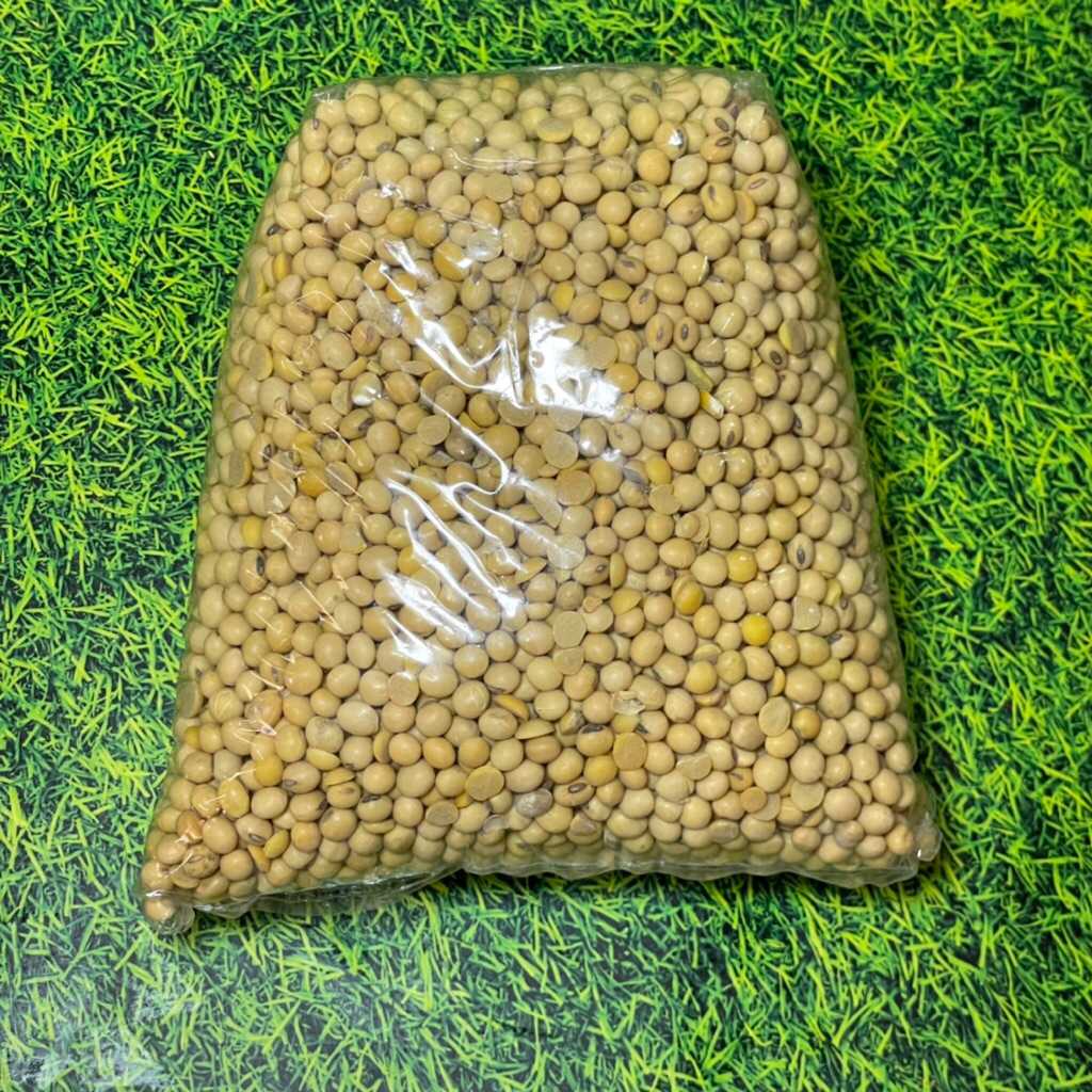super kacang kedelai impor 1kg - kedelai tahu - kedelai tempe - kedelai susu