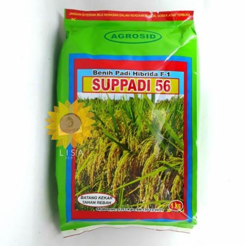 PROMO Benih Padi Supadi SUPPADI 56 Hibrida F1 Original Agrosid