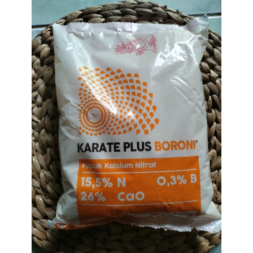 Karate Plus Boroni