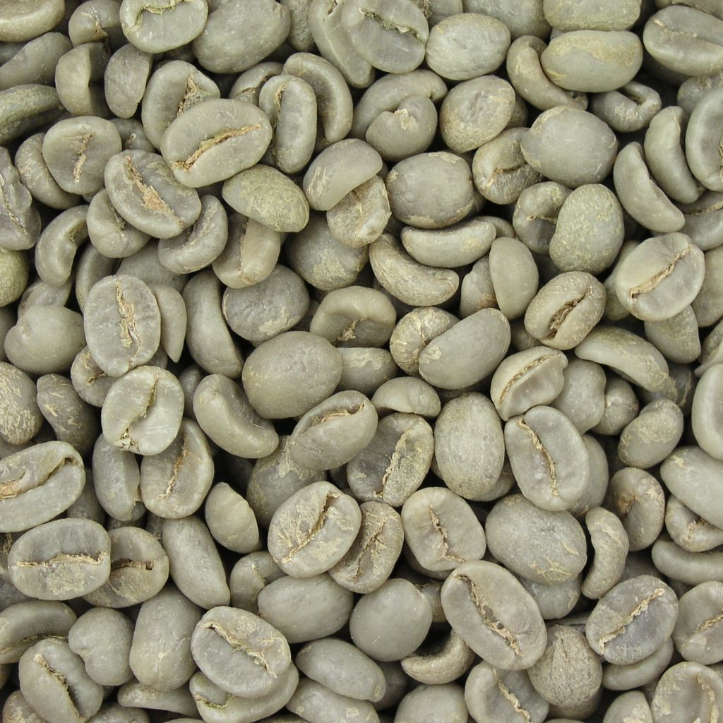 biji kopi Robusta 1 kg