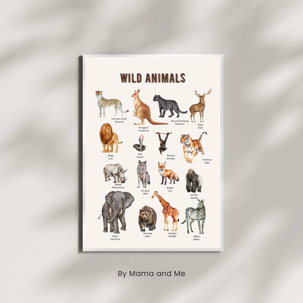Wild Animal Poster Hewan Liar Satwa Liar Montessori Anak