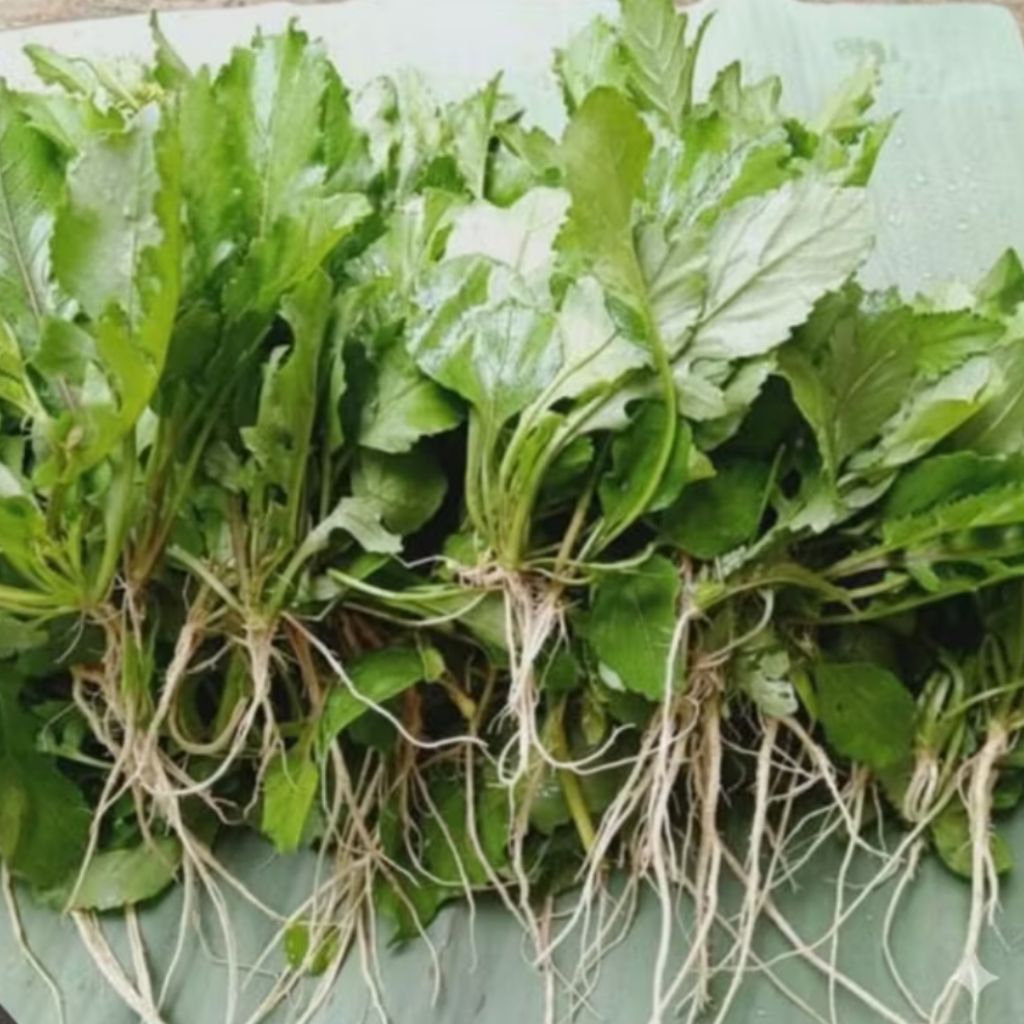 Daun sawi tanah sawi sawah segar organik paket 500 gram