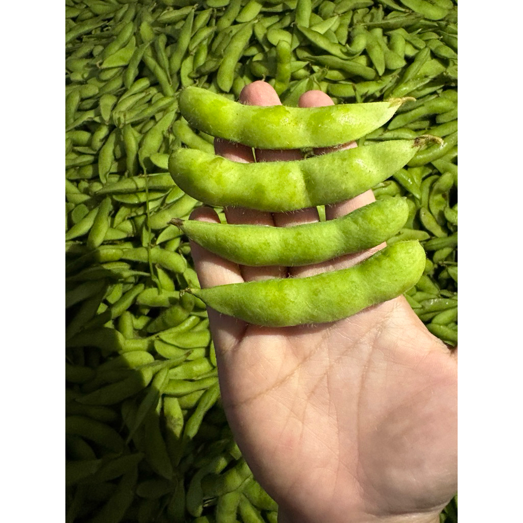 Edamame Fresh
