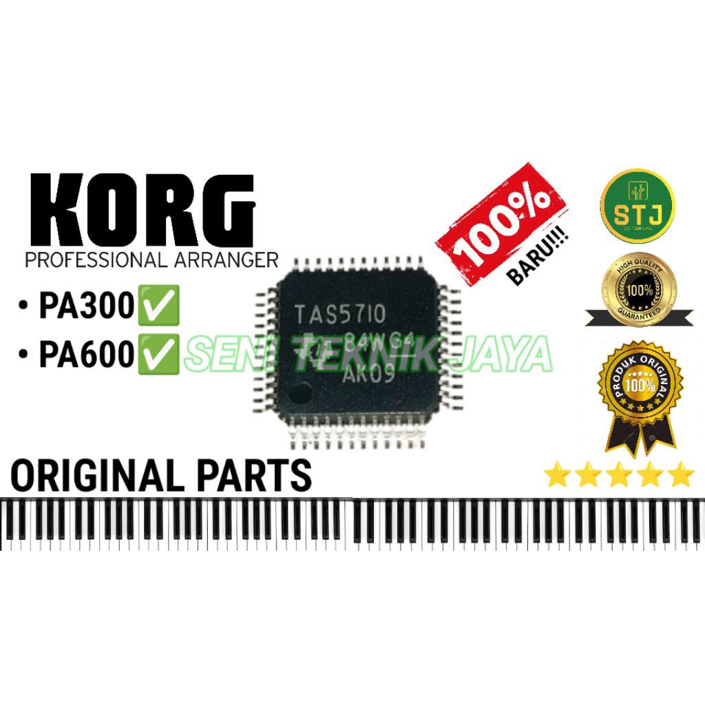 IC AUDIO KORG PA PA300 PA600