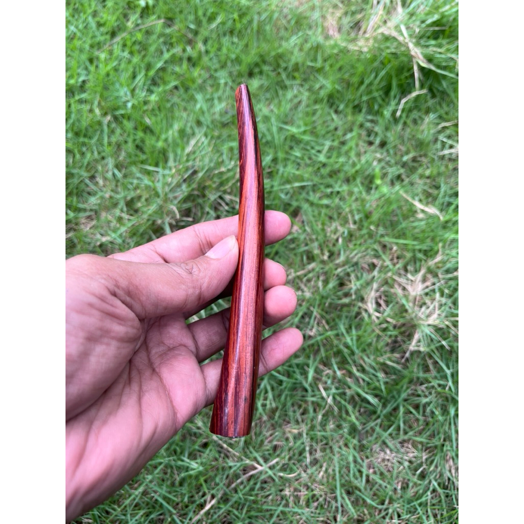 piparokok gaharu zebra merah, 3 varian 8-12cm