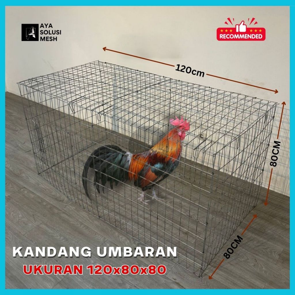Kandang Umbaran Galvanis Ukuran 120 x 80 x 80 | Anti Karat Bisa Dilipat | Kandang Ayam Bangkok Kanda