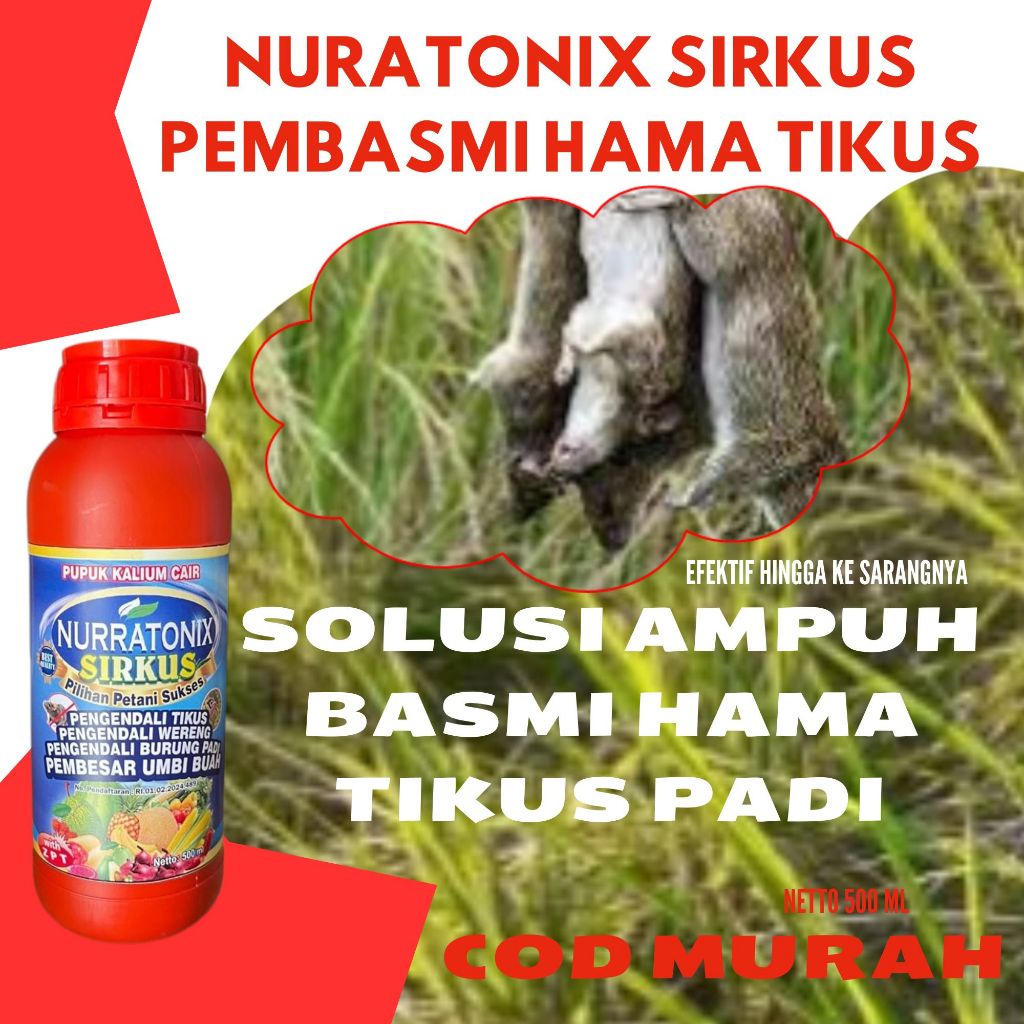 Pengendali Tikus Dan Pengendali Burung Piit Pada Tanaman Padi - Pupuk Cair Racun Tikus Dan Burung OB