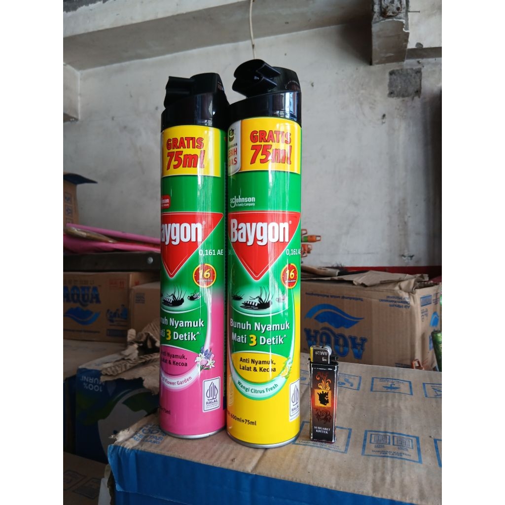 baygon spray 675 ml