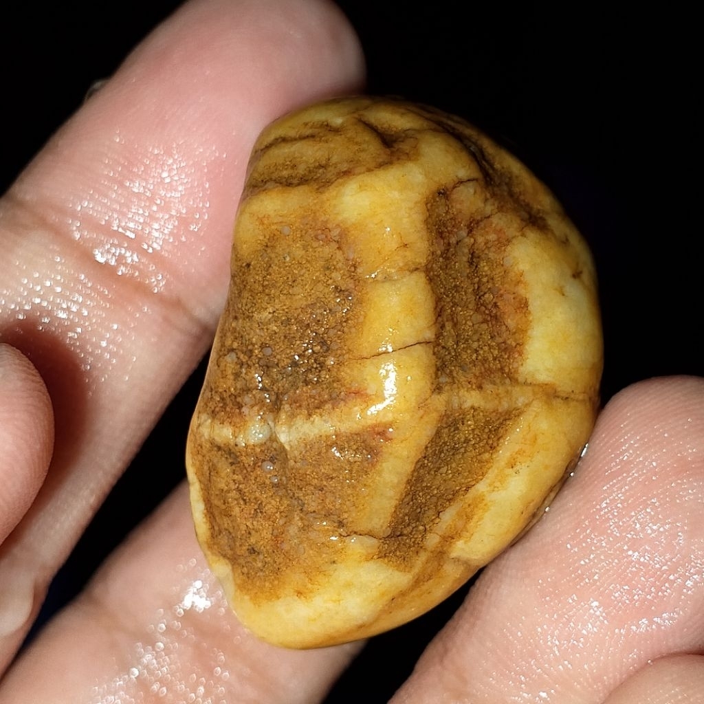 Batu bahan tapak jalak timbul urat tembus kalo disenter tembus senter