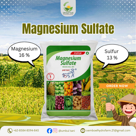 Magnesium Sulfat