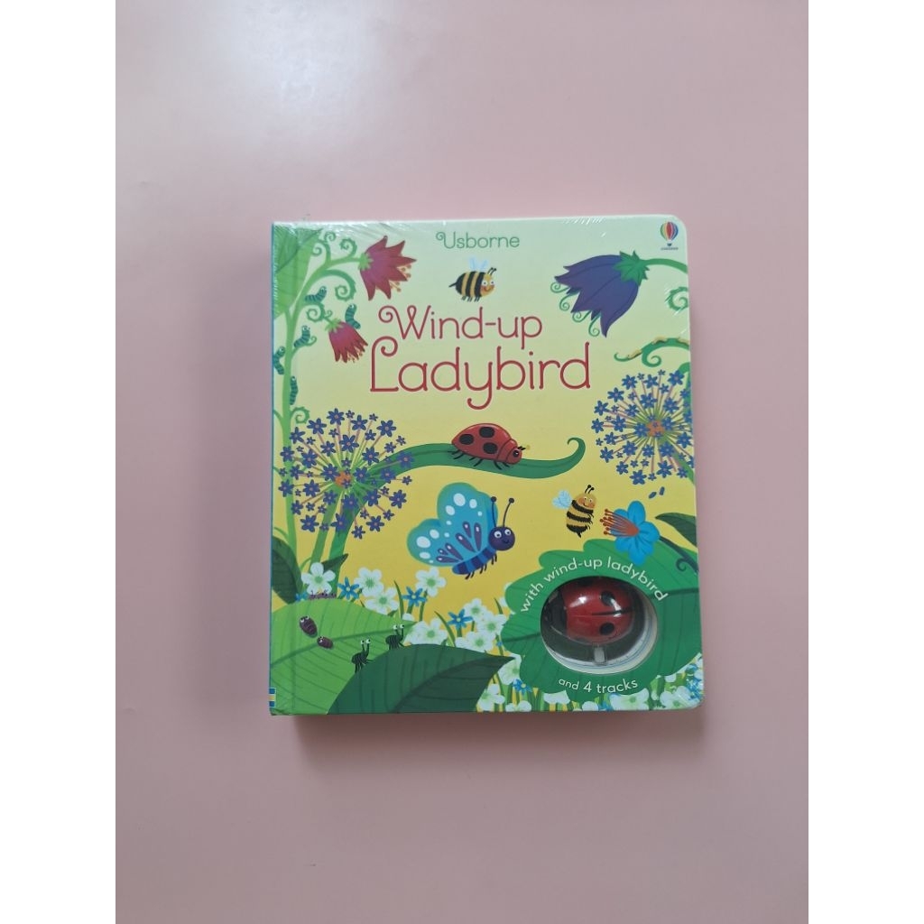 Usborne Wind Up Ladybird