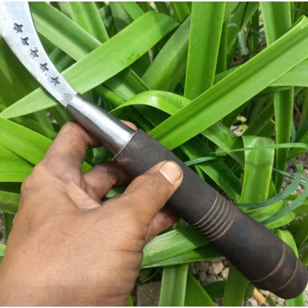 arit rumput arit ranting produksi madura cap bintang lima