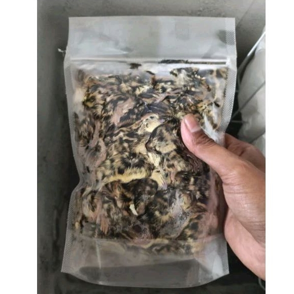 DOQ Puyuh Frozen isi 50 Ekor / Baby Quail / Burung Puyuh / Pakan Burung Hantu / Pakan Predator
