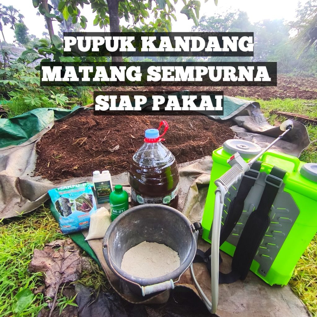 PUPUK KANDANG TERFERMENTASI SEMPURNA | PUPUK KAMBING