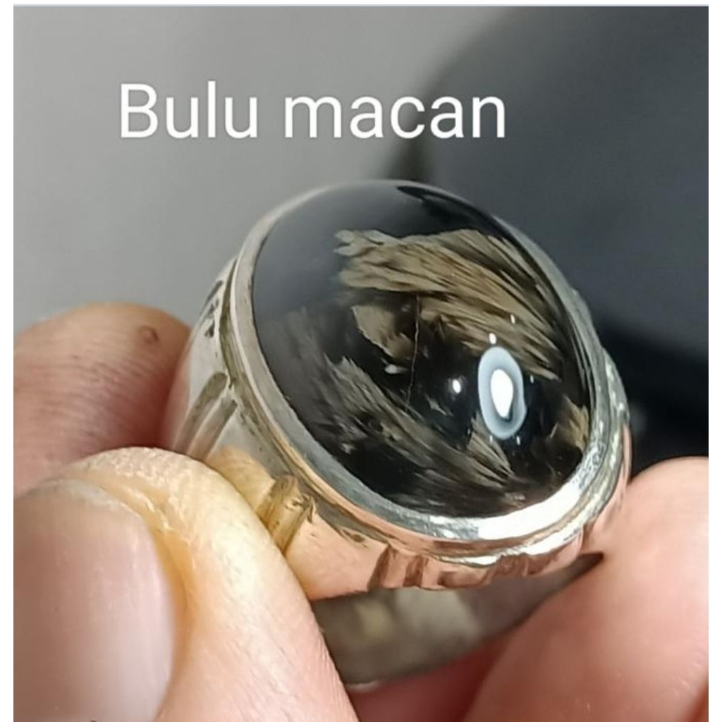 batu bulu macan lumajang natural
