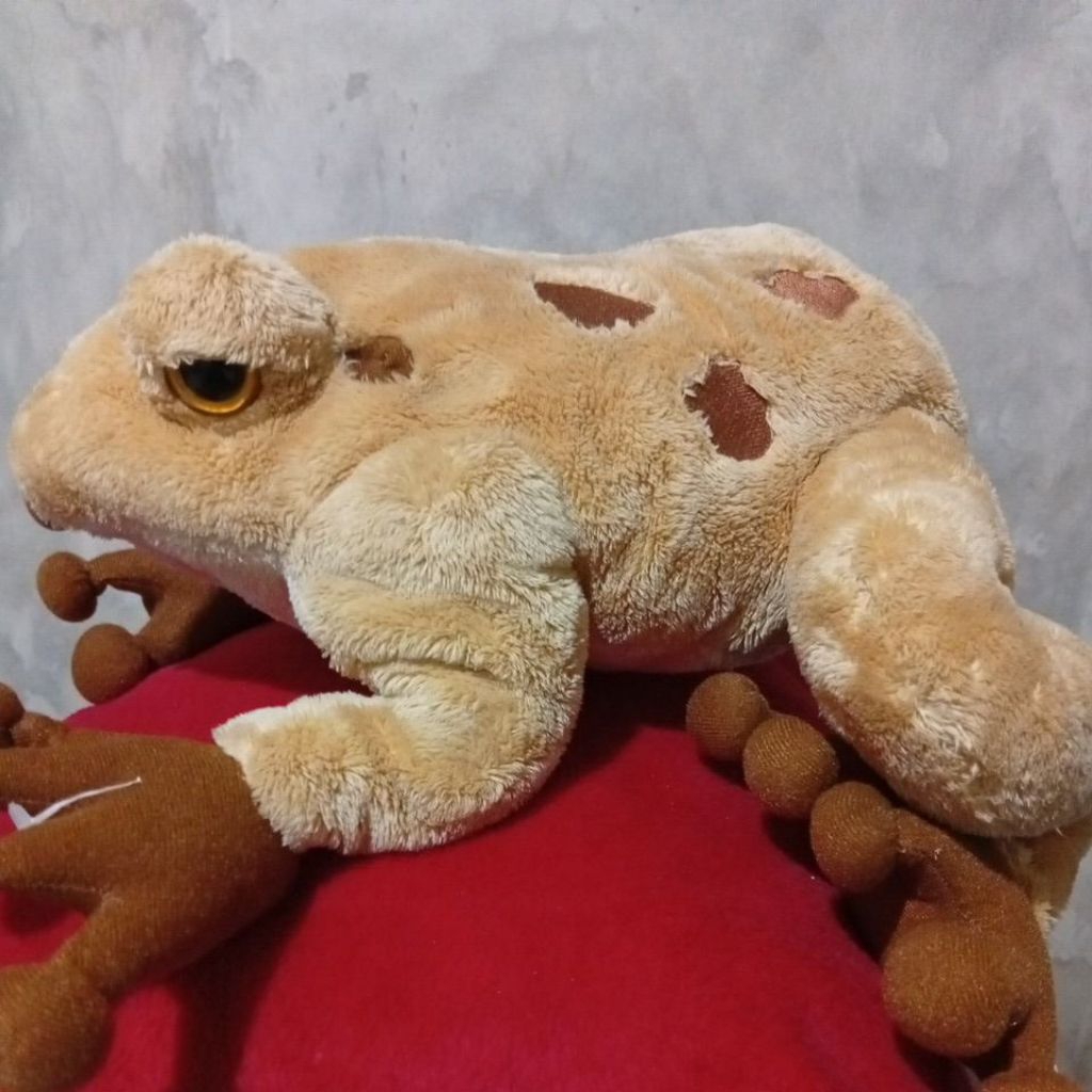 boneka pl katak.