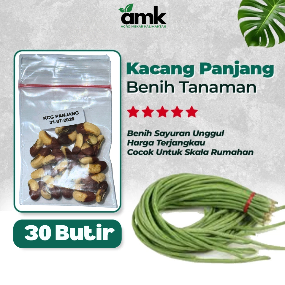 Benih Bibit KACANG PANJANG - Agro Mekar Kalimantan