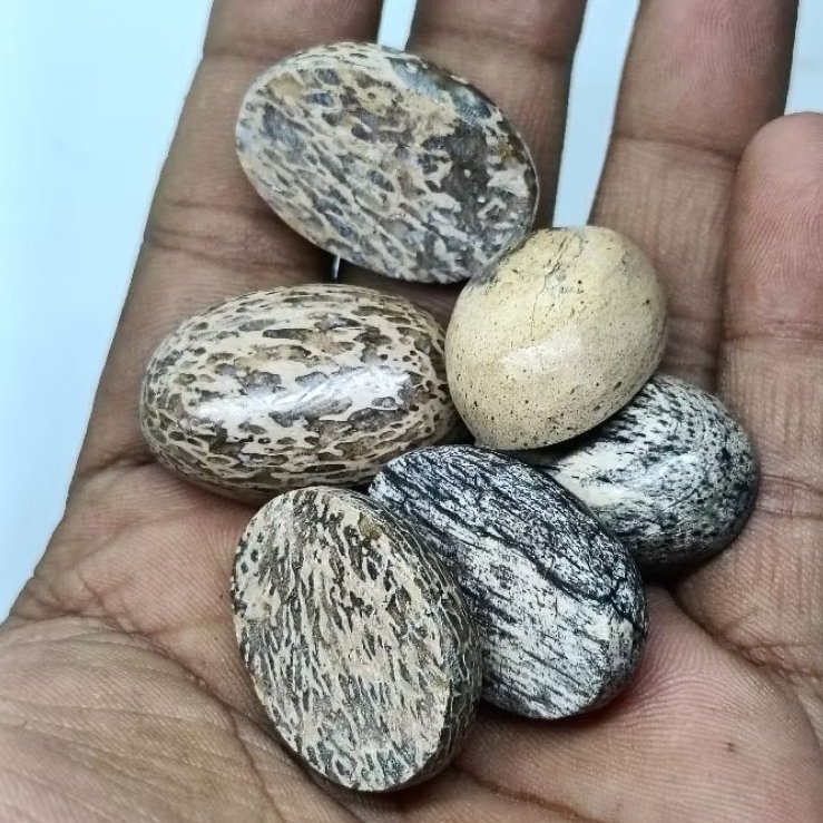 Original Batu Anti wisa , Jumbo , Natural Cirebon