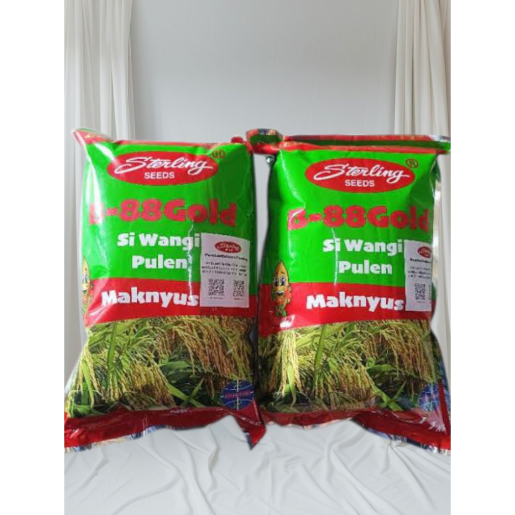 Benih Padi B88 Gold Hibrida sterling jaminan ori 100%