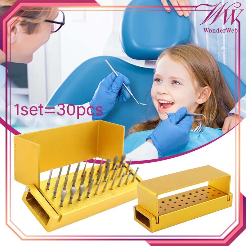 30pcs/Set Mata Bur Gigi Set Dental Diamond Bur High Speed Dental Bur Diamond Logam Bur Gigi Holder