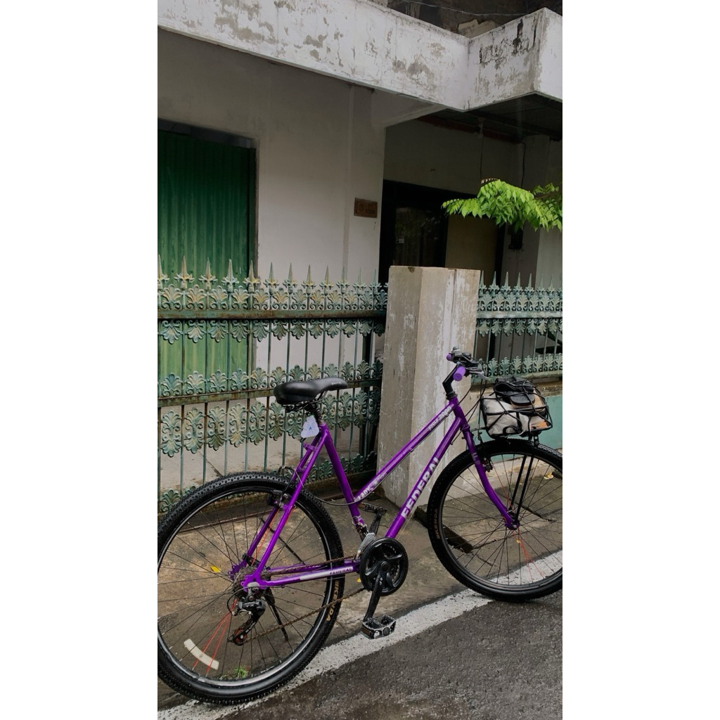 commuter bike federal lady ori