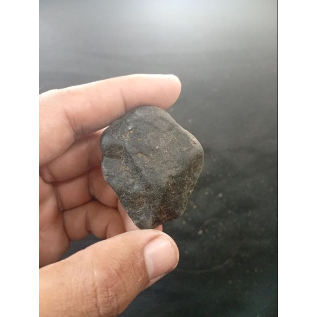 galih kayu setigi Karimunjawa hitam pekat 5