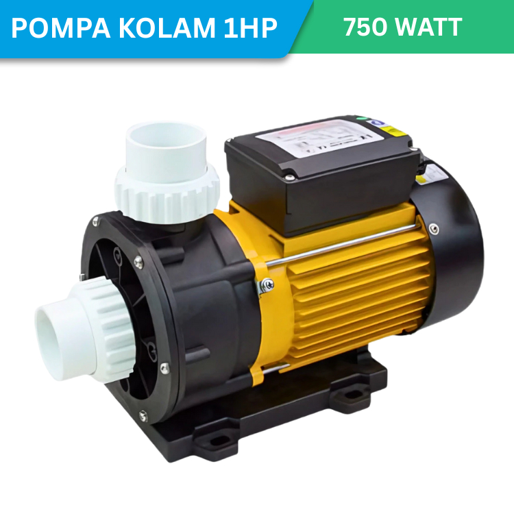 Pompa Kolam Renang 1 HP Mesin Pompa Air Sirkulasi Kolam Renang 1 Horse Power