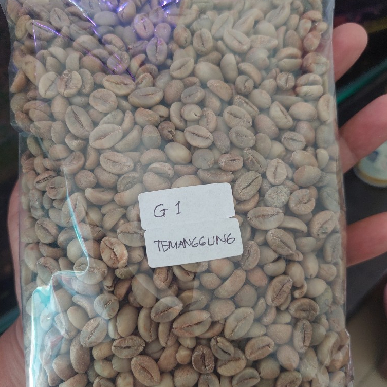 GREEN BEAN KOPI ROBUSTA TEMANGGUNG GRADE 1 BIJI KOPI PREMIUM ASLI TEMANGGUNG
