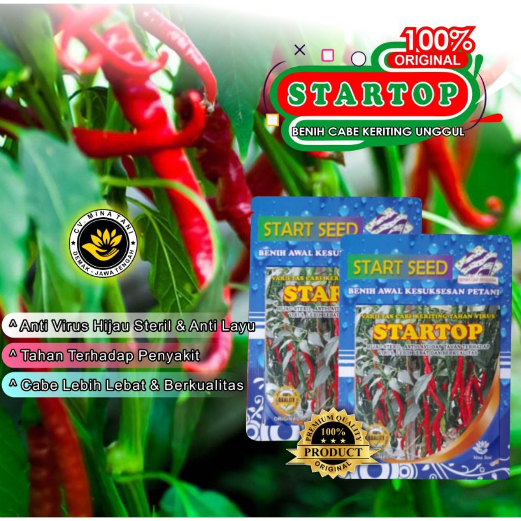 benih cabe keriting unggul STARTOP