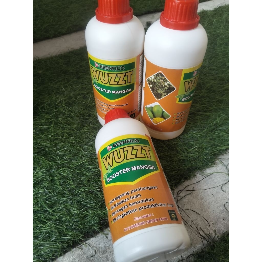 Wuzzt booster buah Mangga