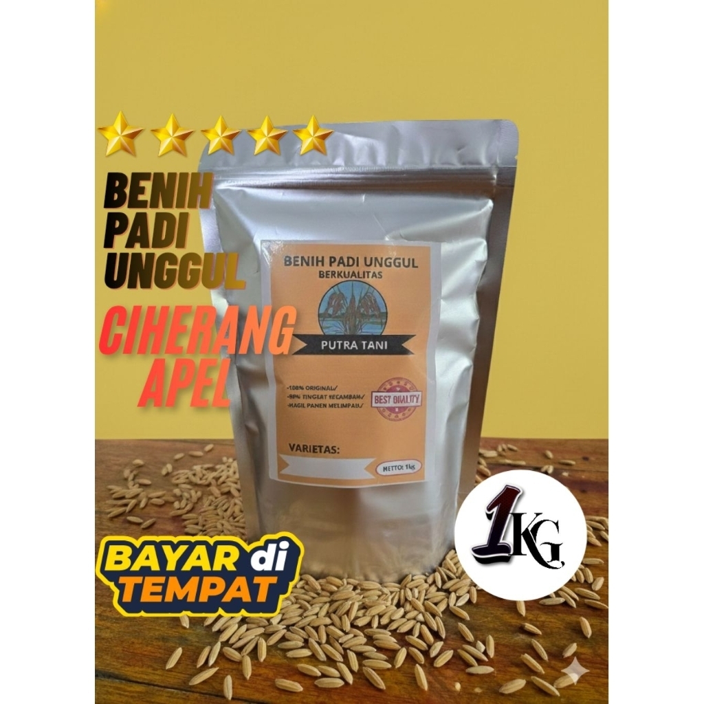 Benih padi/bibit padi unggul ciherang apel 1kg