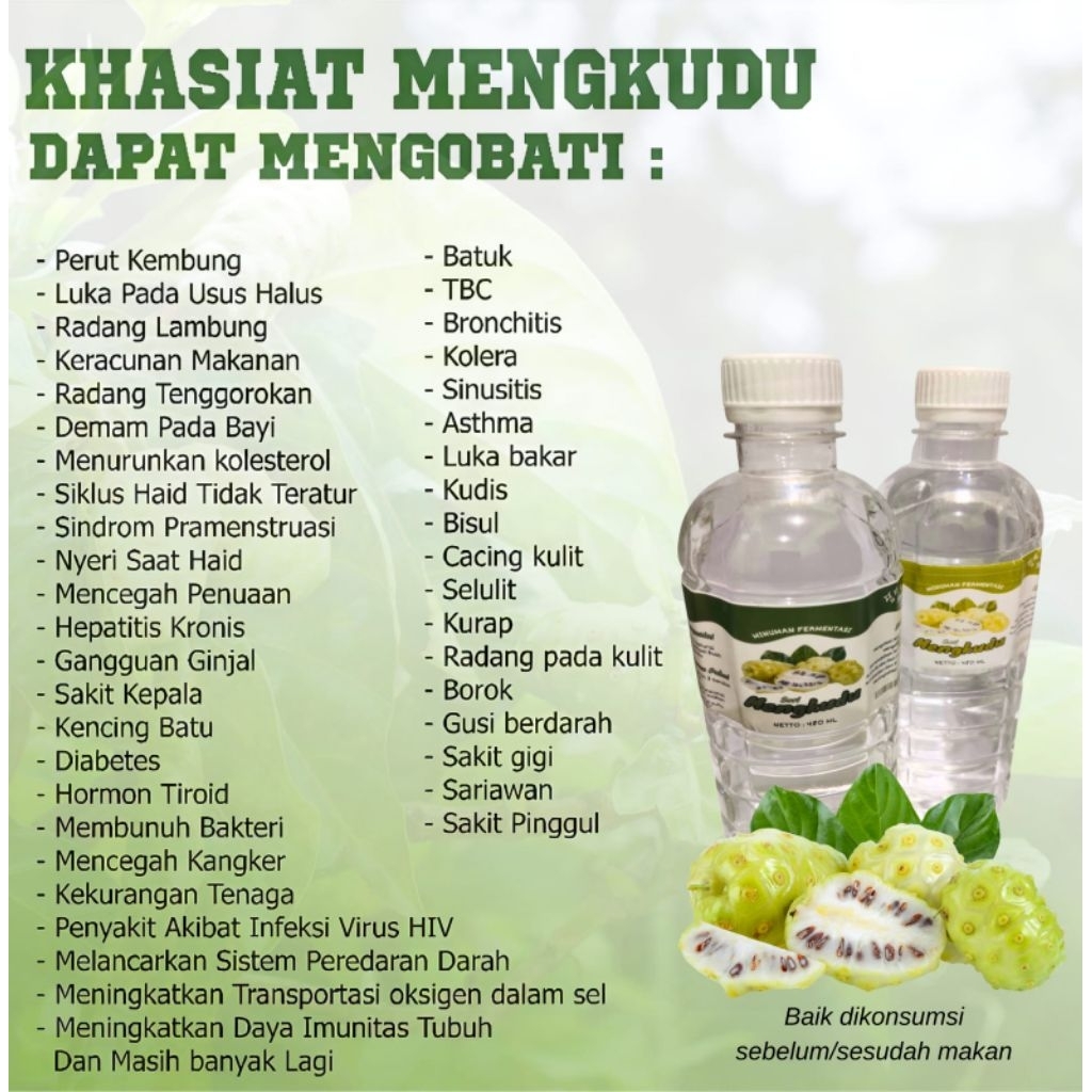Fermentasi cuka buah mengkudu 480ml
