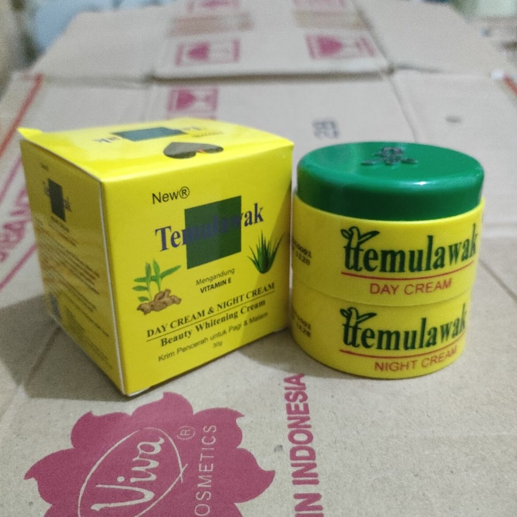 New R Cream Temulawak 2in1 Susun Siang & Malam BPOM