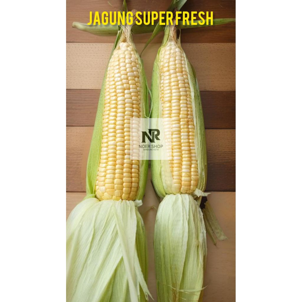 Jagung Manis super fresh mentah untuk di bakar rebus