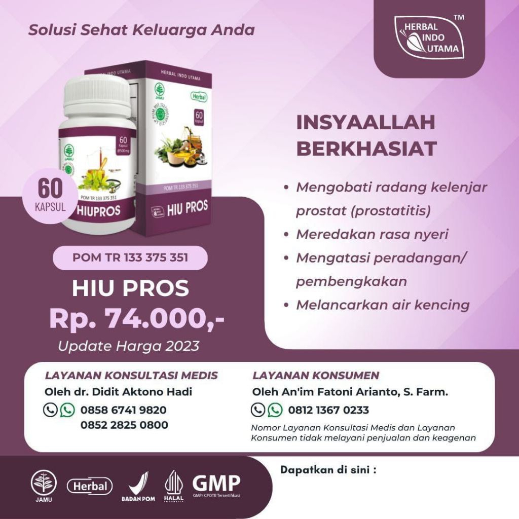 Radang Kelenjar Prostat Hiu Pros