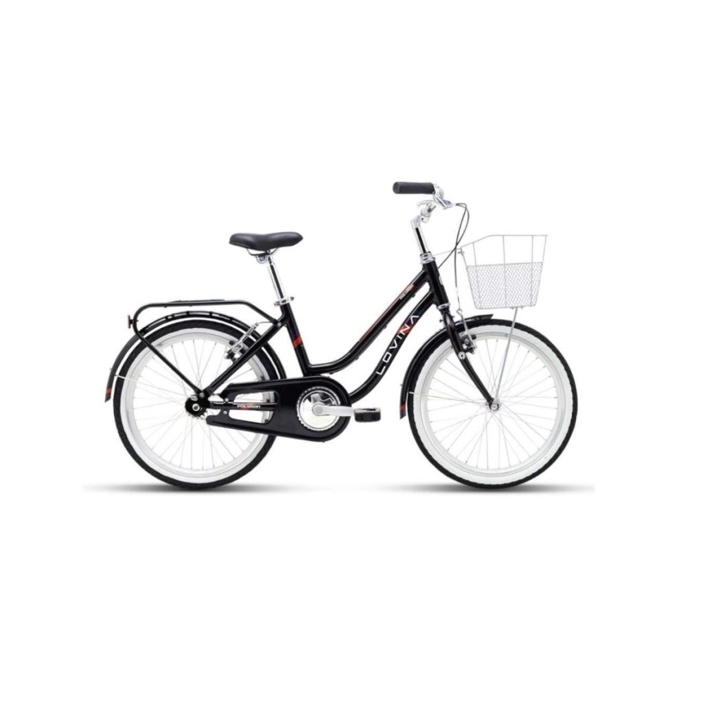 Sepeda Keranjang Polygon Lovina 20 Alloy