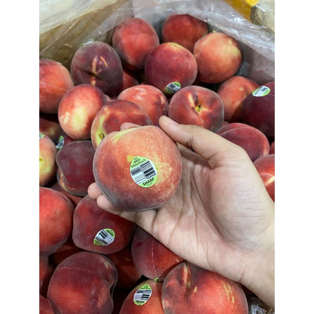 PEACH. BUAH PERSIK. BUAH PEACH ENAK SEGAR. BUAH IMPOR