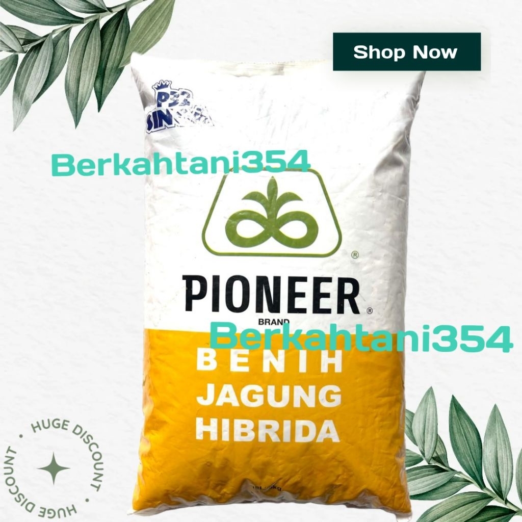 Benih jagung pioner p32 kemasan 5kg Bibit jagung pioneer p32 singa p32 lion