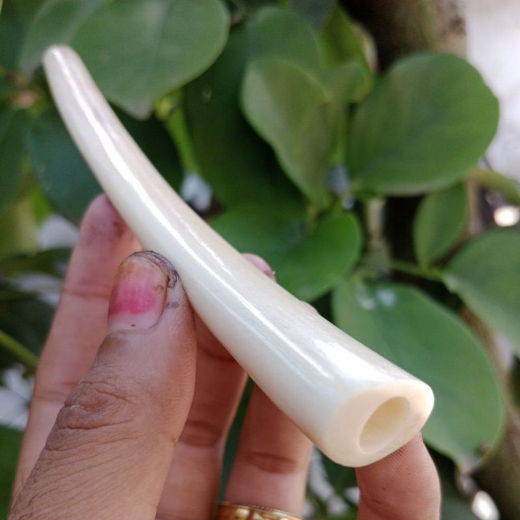 Pipa Tulang Sapi Gading Gurih, Panjang 7-14 cm